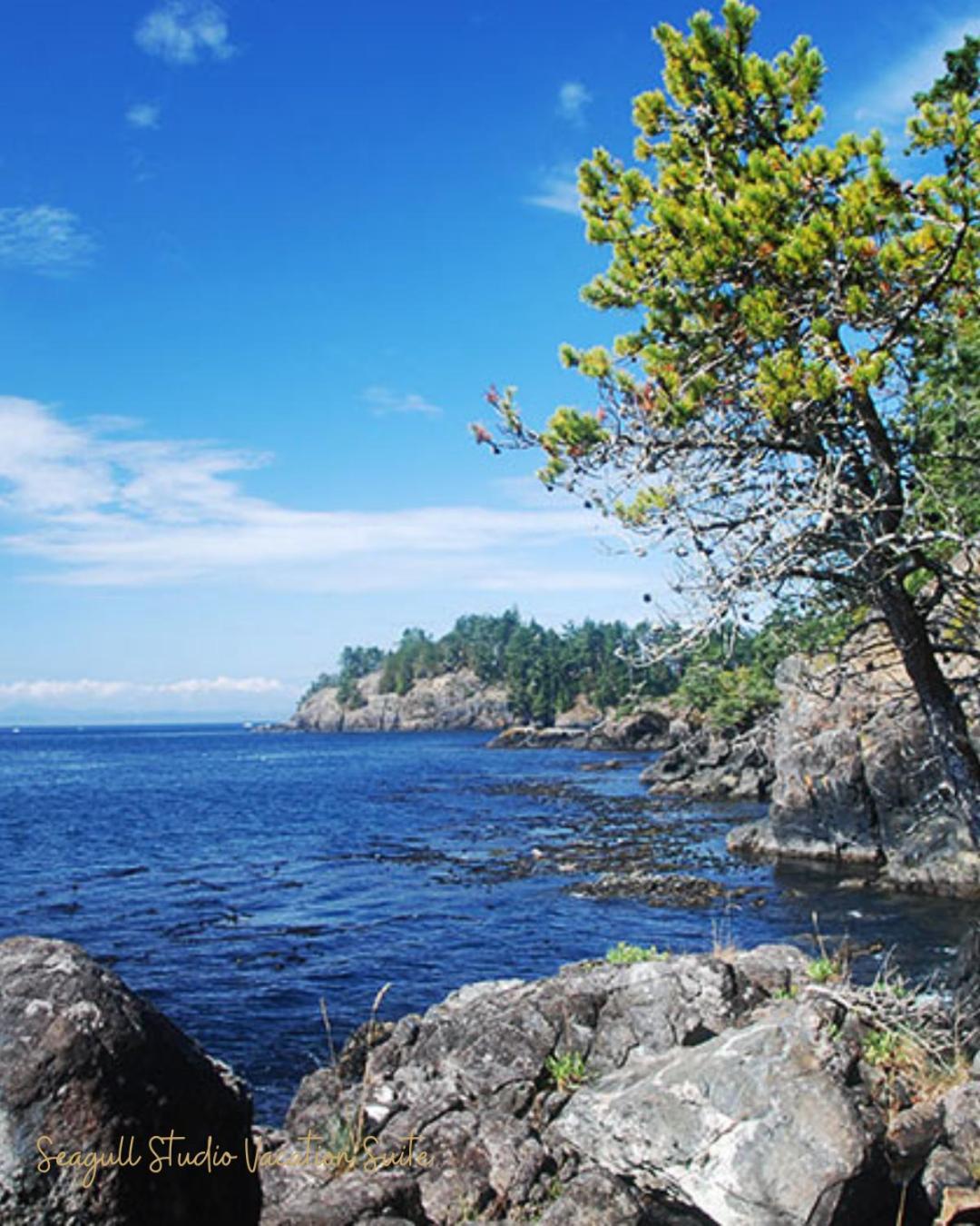 Seagull Studio Vacation Suite Sooke Buitenkant foto