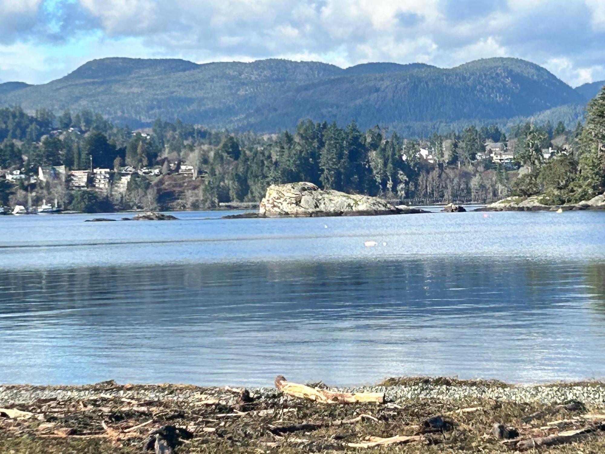 Seagull Studio Vacation Suite Sooke Buitenkant foto
