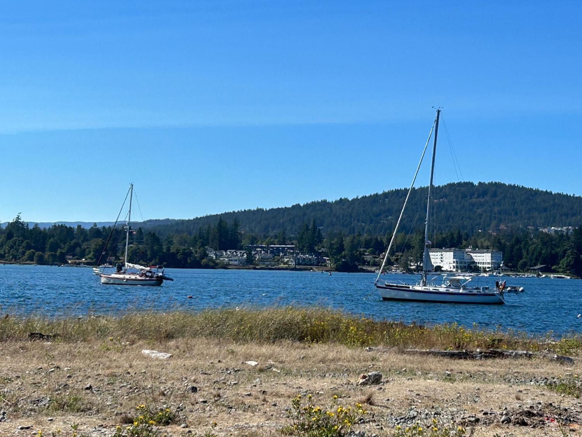 Seagull Studio Vacation Suite Sooke Buitenkant foto