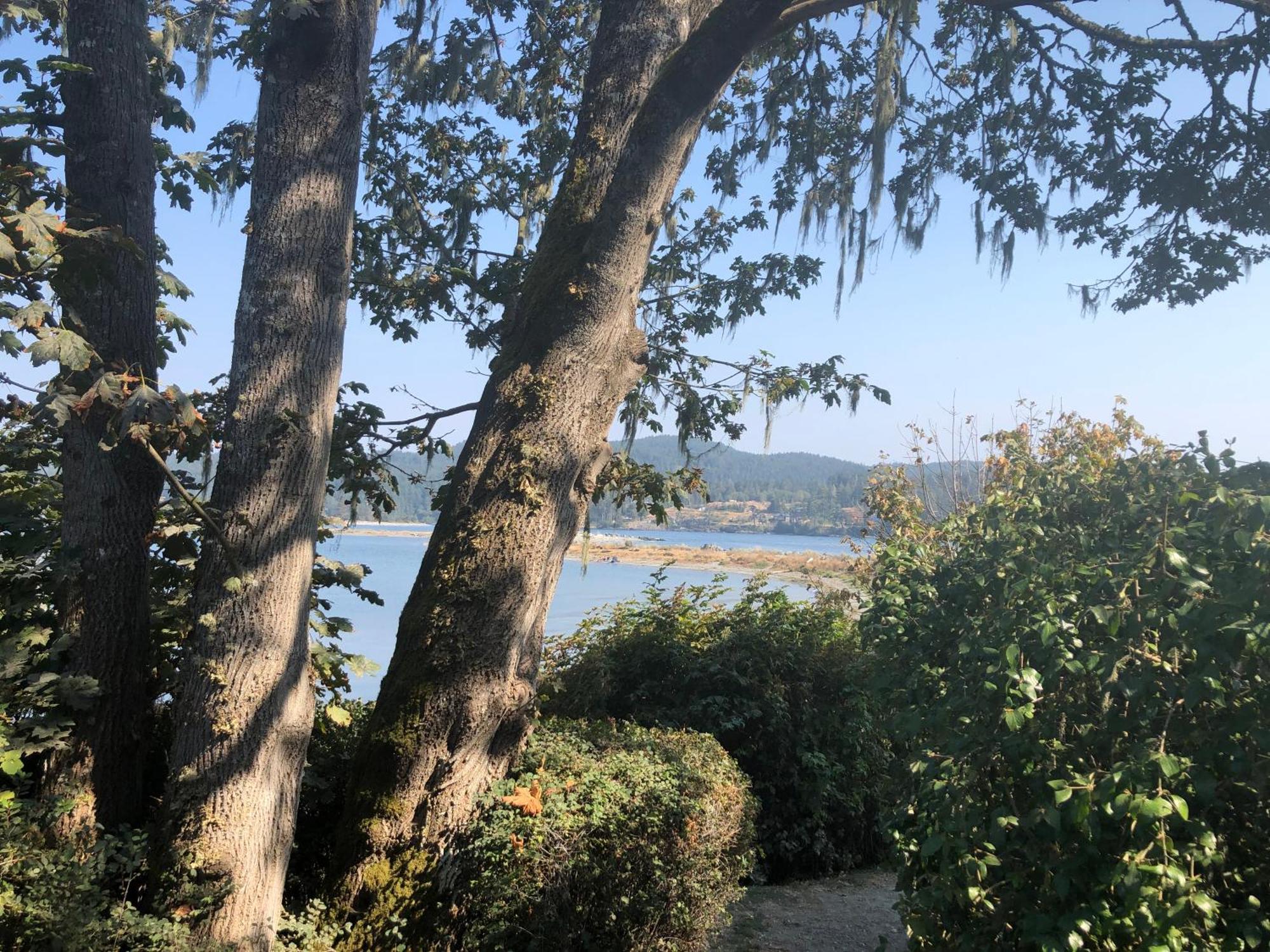 Seagull Studio Vacation Suite Sooke Buitenkant foto